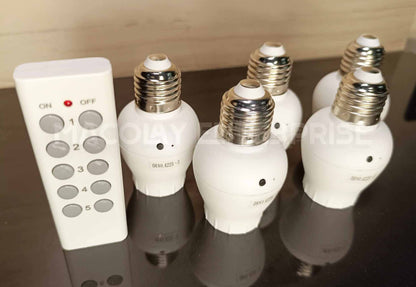 DT-023 The Lazy Plug and Lazy Sockets RF Remote Controlled Sockets