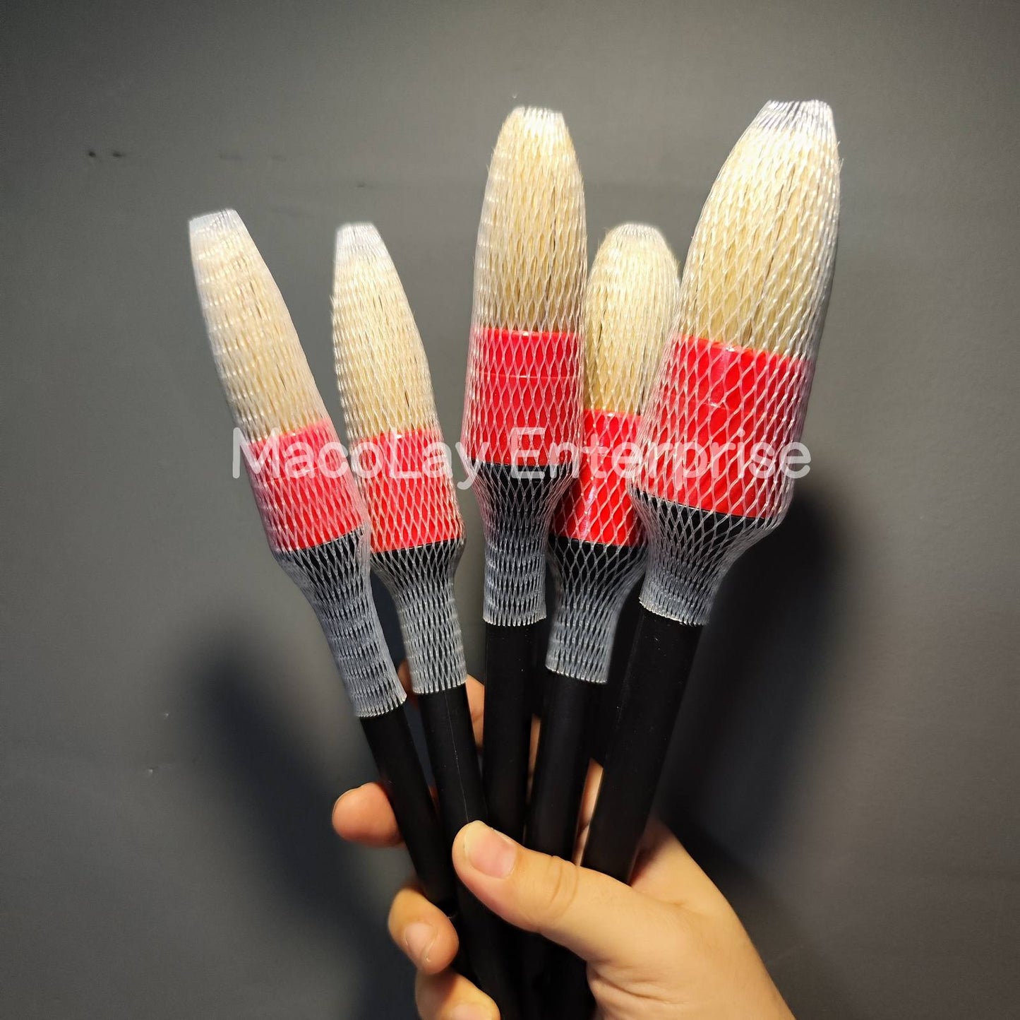 IN-21 Boars Hair 5-pc Car Detailing Brush set