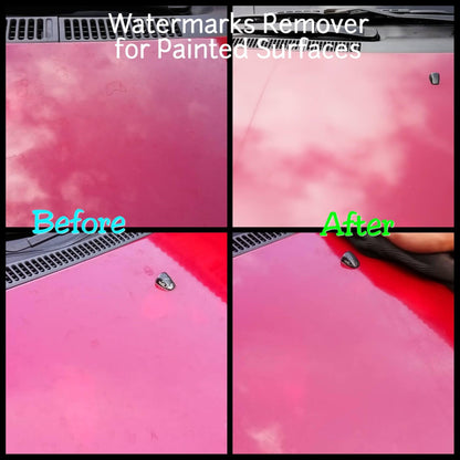 Painted Surface Car Body Watermarks Remover 100ml Mr. Squeaky