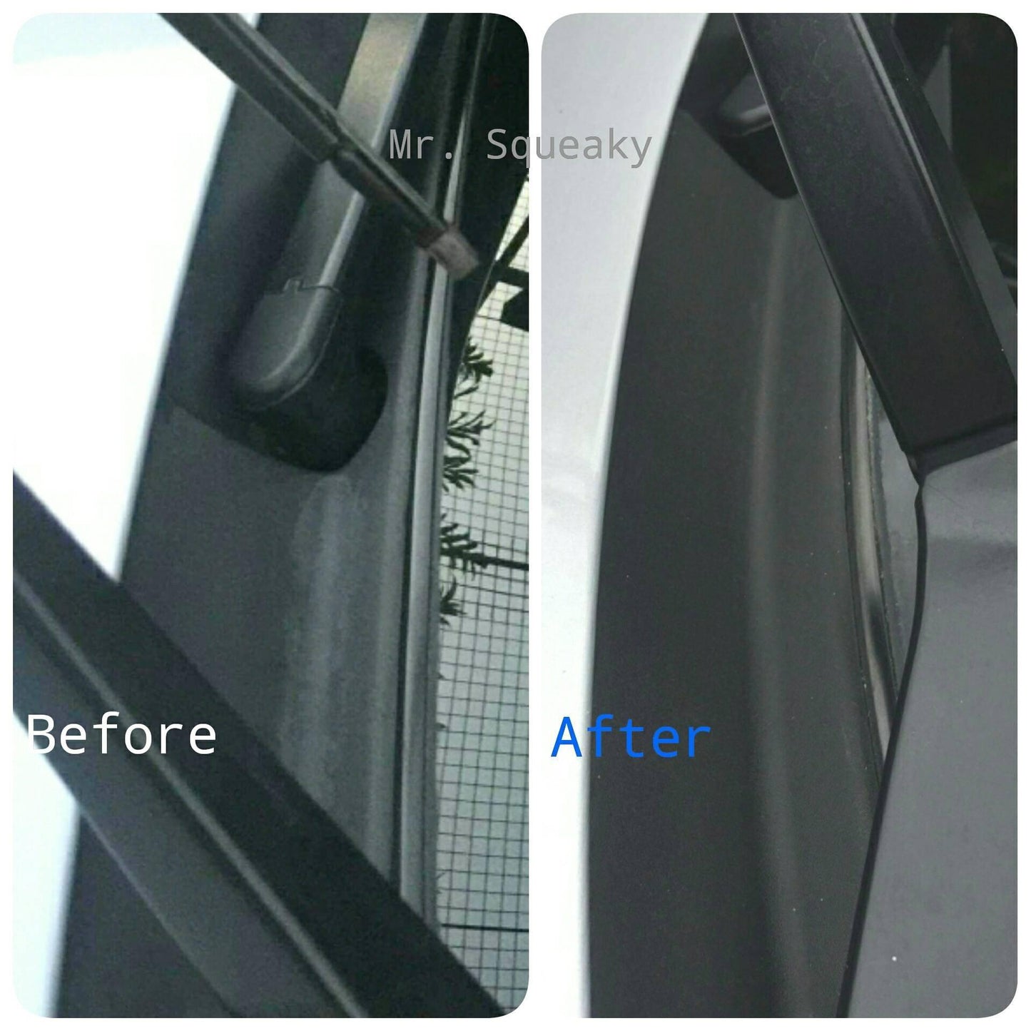Mr. Squeaky Plastic, Bumper and Trims Ceramic Coating 10ml