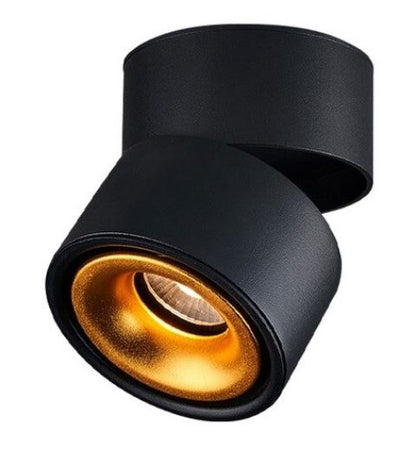 LT-017 12W LED Down Light